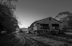 b-morning-light-old-woolshed