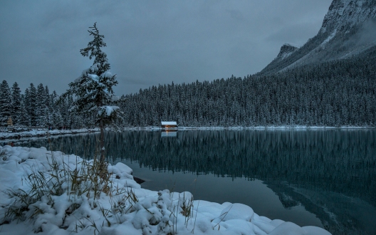 a-Overnight snow, Lake louise
