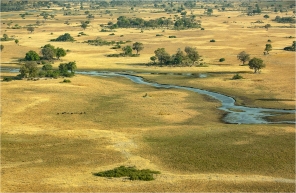 b-Okavango-Delta-Botswana