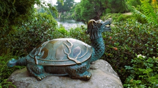 c-myrtle-the-dragon-turtle